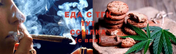 СК Алзамай