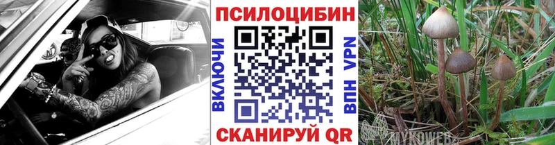 Галлюциногенные грибы Magic Shrooms  купить наркоту  Макушино 